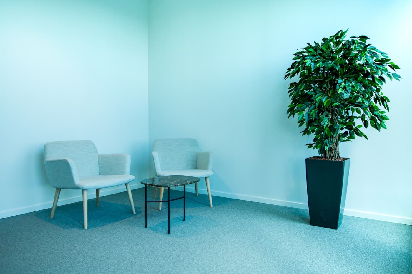 Two chairs facing each other in a calm, minimal counseling room